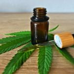 Practical tips for incorporating CBD oil into the wellness routines of elderly individuals