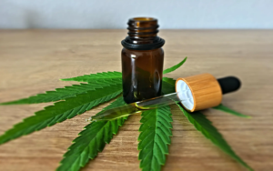 Practical tips for incorporating CBD oil into the wellness routines of elderly individuals
